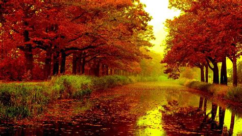 autumn free desktop wallpaper|autumn desktop wallpaper 1920x1080.